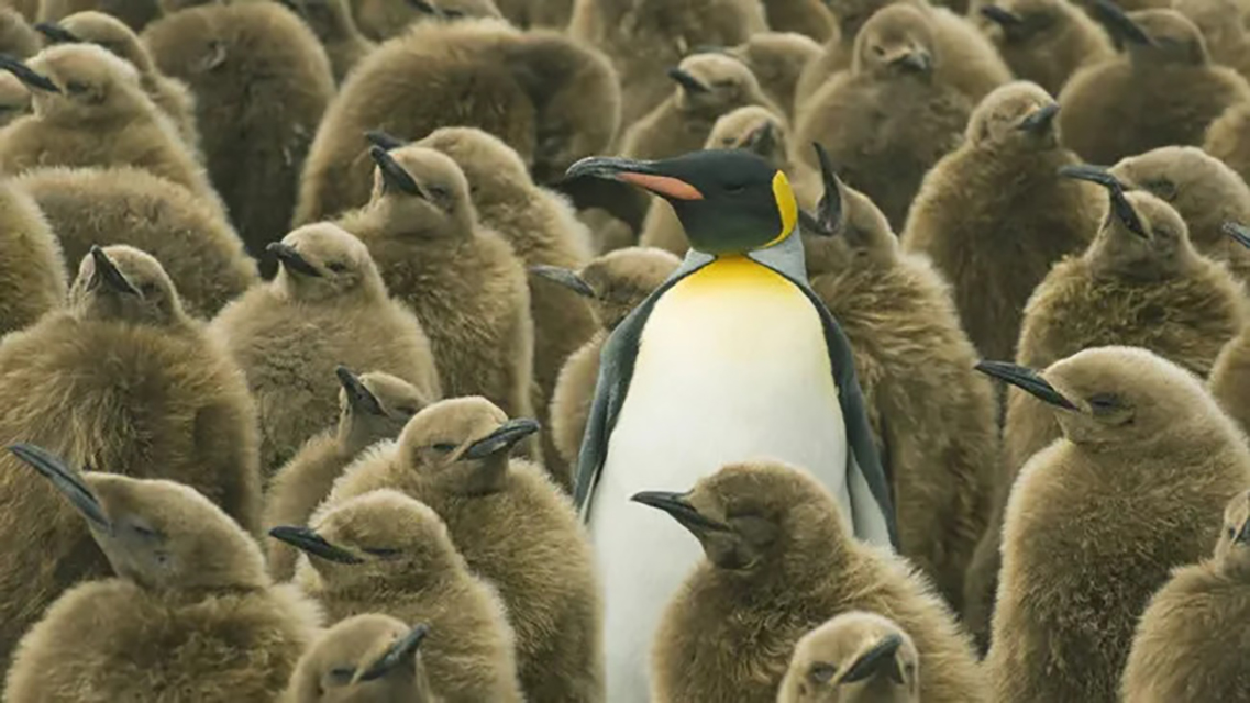 Win 10 berakhir. Siap pindah ke linux?
