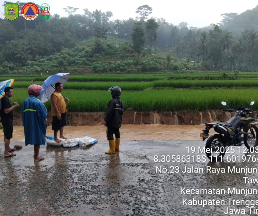 Banjir di Munjungan Trenggalek usai tanggul sawah jebol.