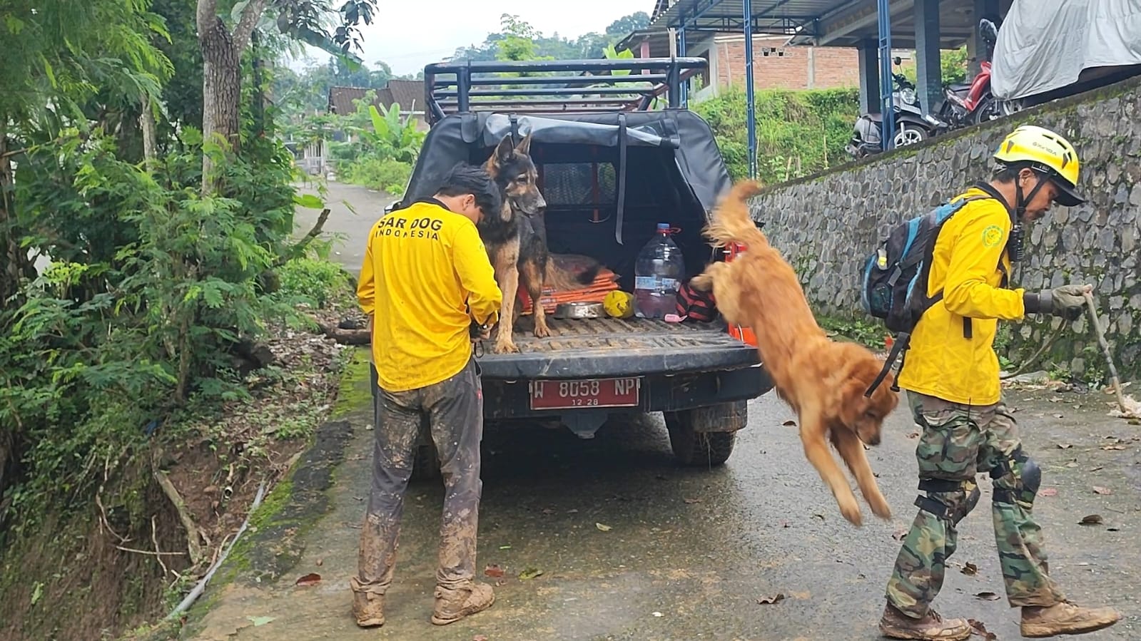 Anjing pelacak saat diterjunkan untuk mencari lokasi korban longsor di Trenggalek