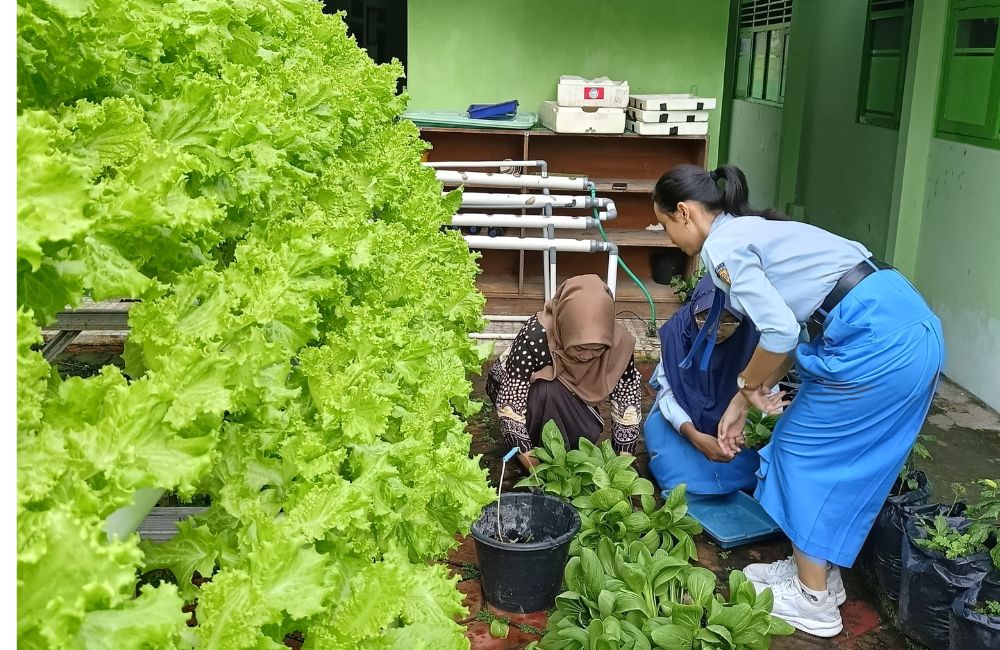 Kepala Sekolah SMAN 1 Durenan Yessy ikut memanen tanaman Sayur Hidroponik