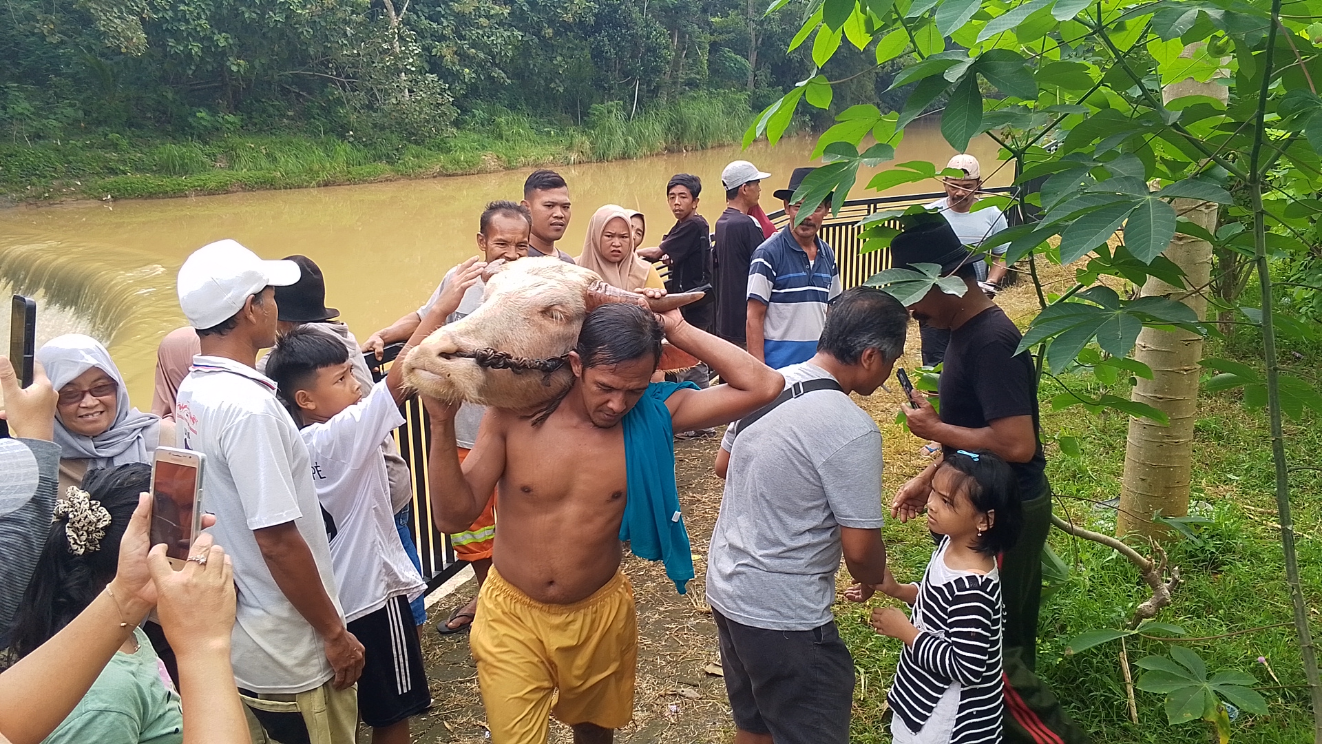 Warga berebut Kepala Kerbau saat Nyadran Dam Bagong di Trenggalek.