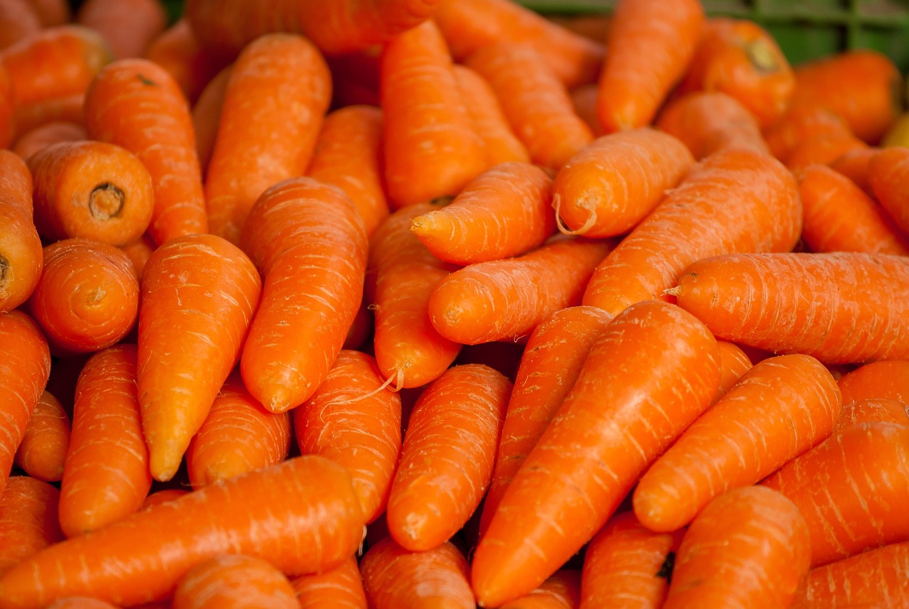Wortel salah satu komoditi sayur yang harganya tak berubah. (YERSON RETAMAL/PIXABAY)