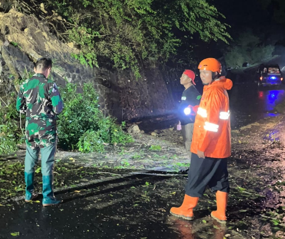 Tim gabungan membersihkan pohon tumbang di Desa Ngrencak, Kecamatan Panggil, Trenggalek