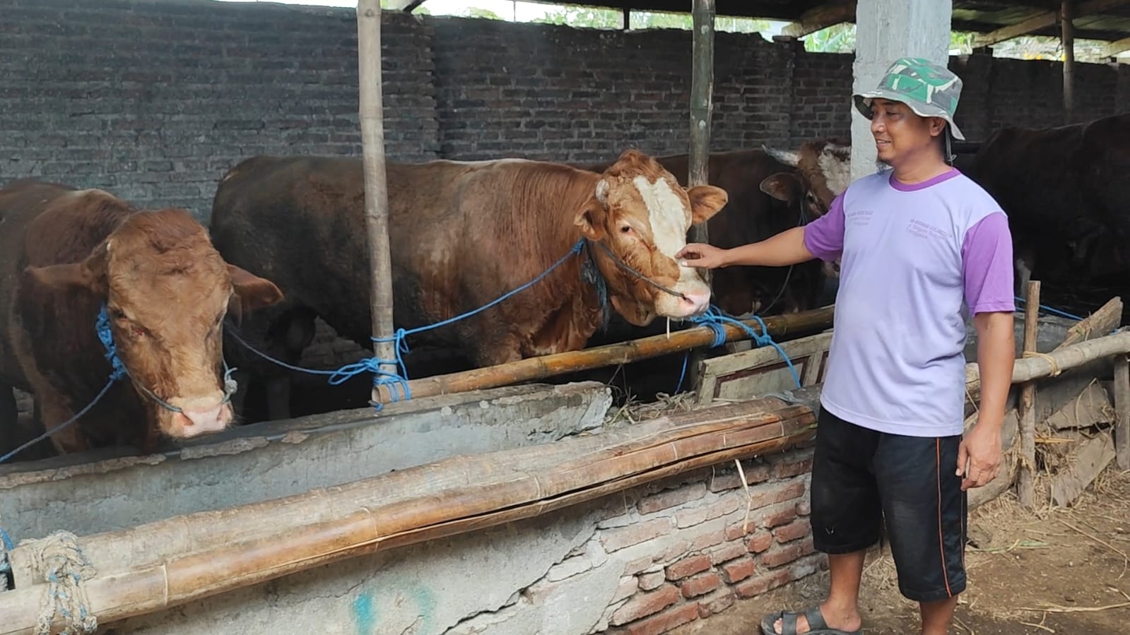 Permintaan dan harga hewan ternak meningkat jelang Idul Adha.