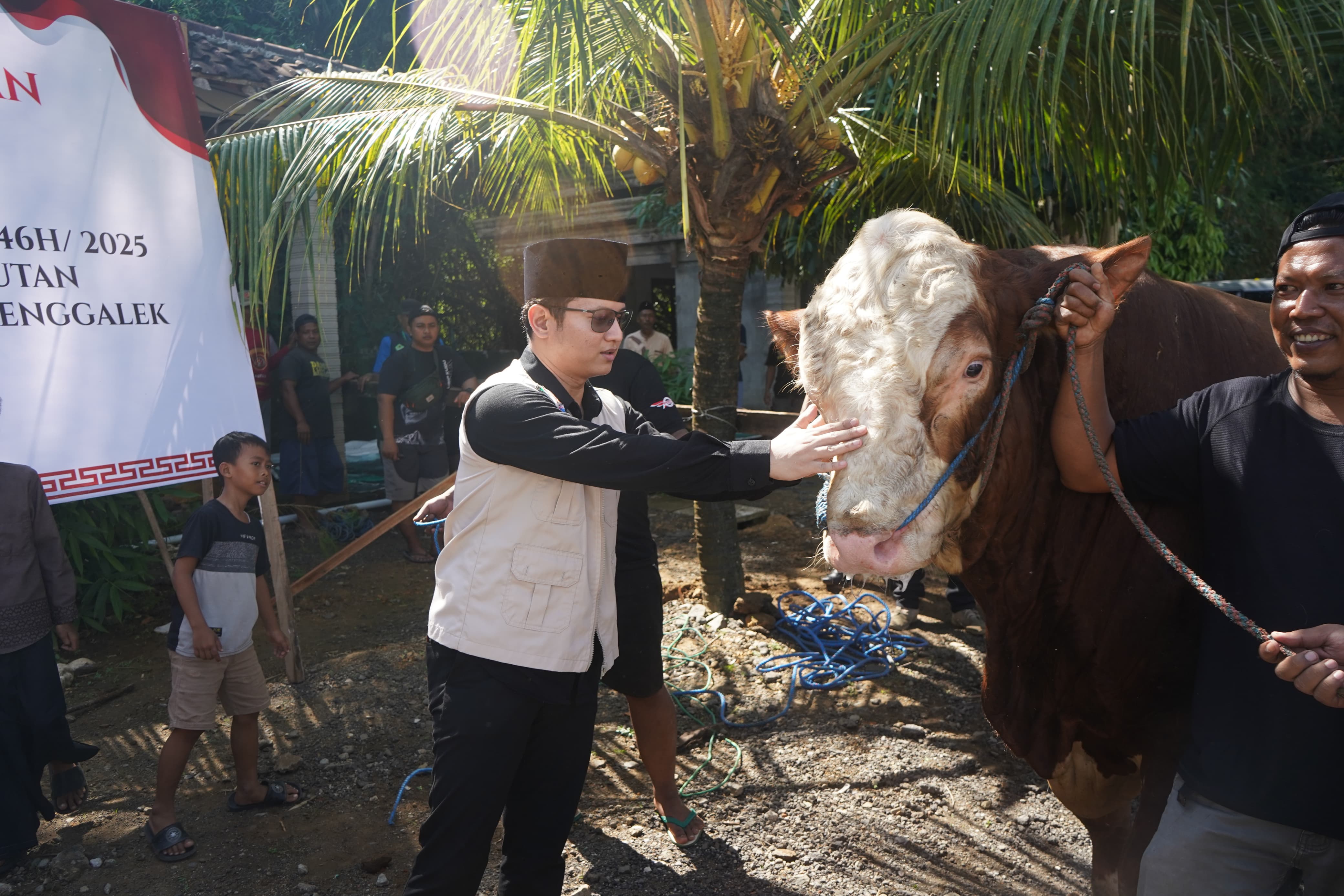Penyerahan sapi kurban milik Presiden Prabowo Subianto ke Pondok Pesantren Kidul Kali Trenggalek.