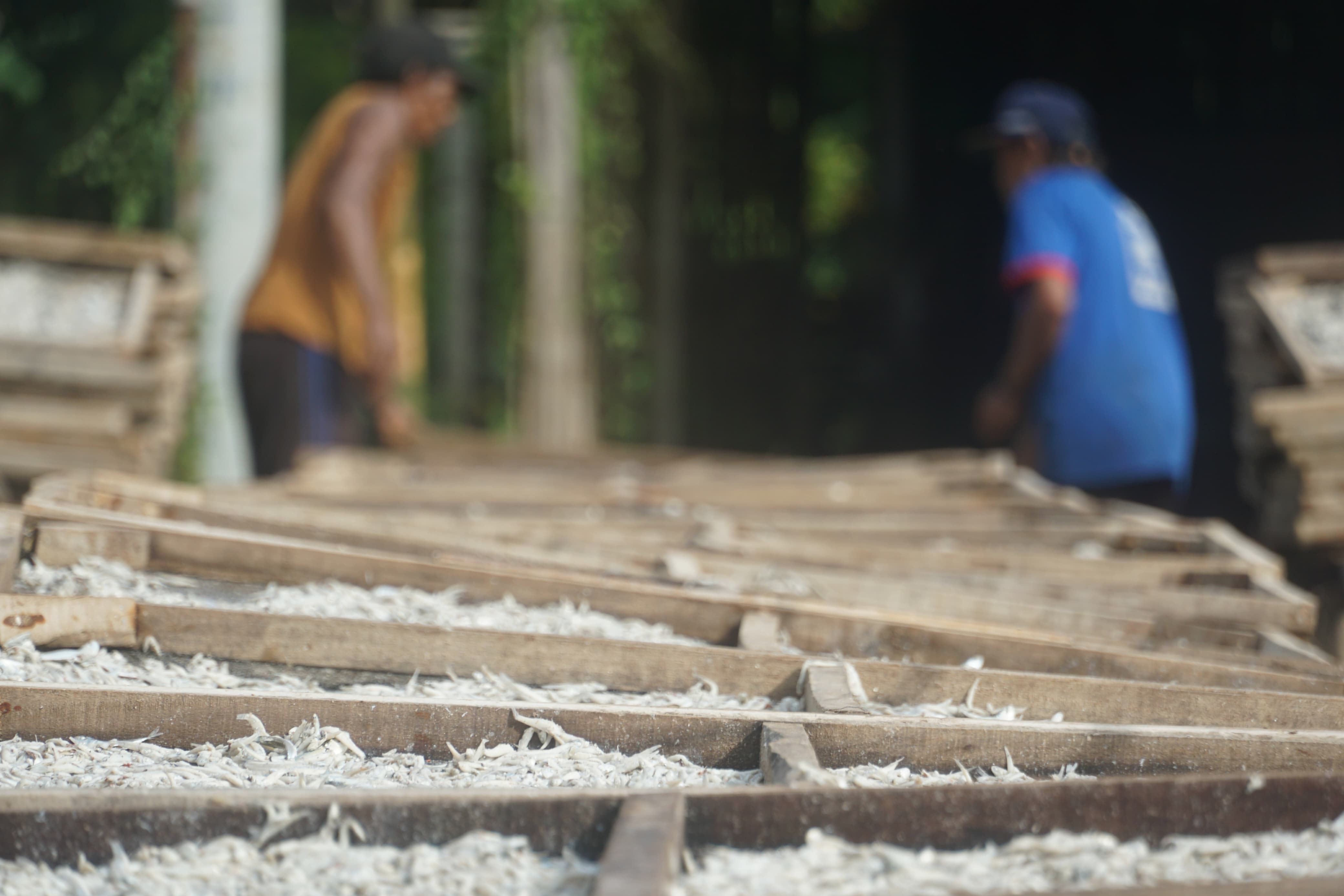 Pengusaha ikan kering di Trenggalek memilih melempar barang ke Jawa Barat. (DR PERDANA/RADAR TRENGGALEK)