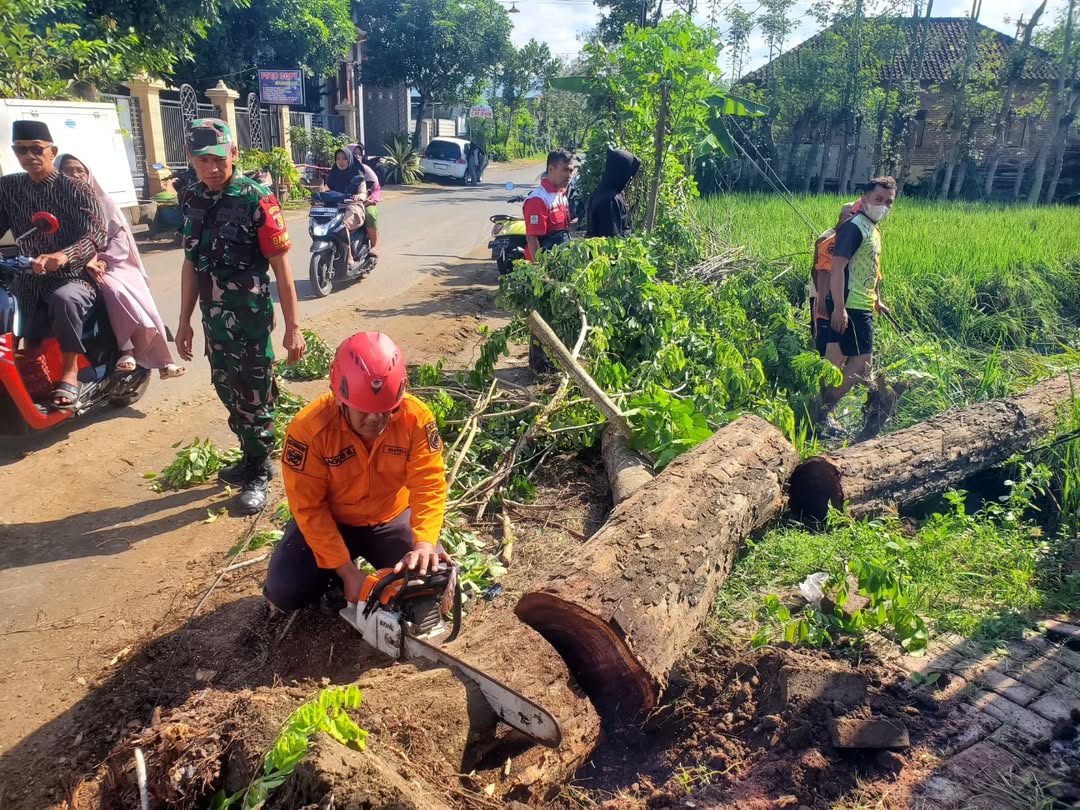 BPBD bersama TRC lakukan penanganan pohon tumbang di Ng longsor, Kecamatan Tugu