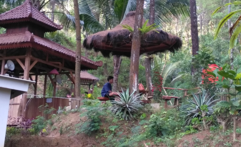 Kawasan hutan Trenggalek yang perlu digarap maksimal