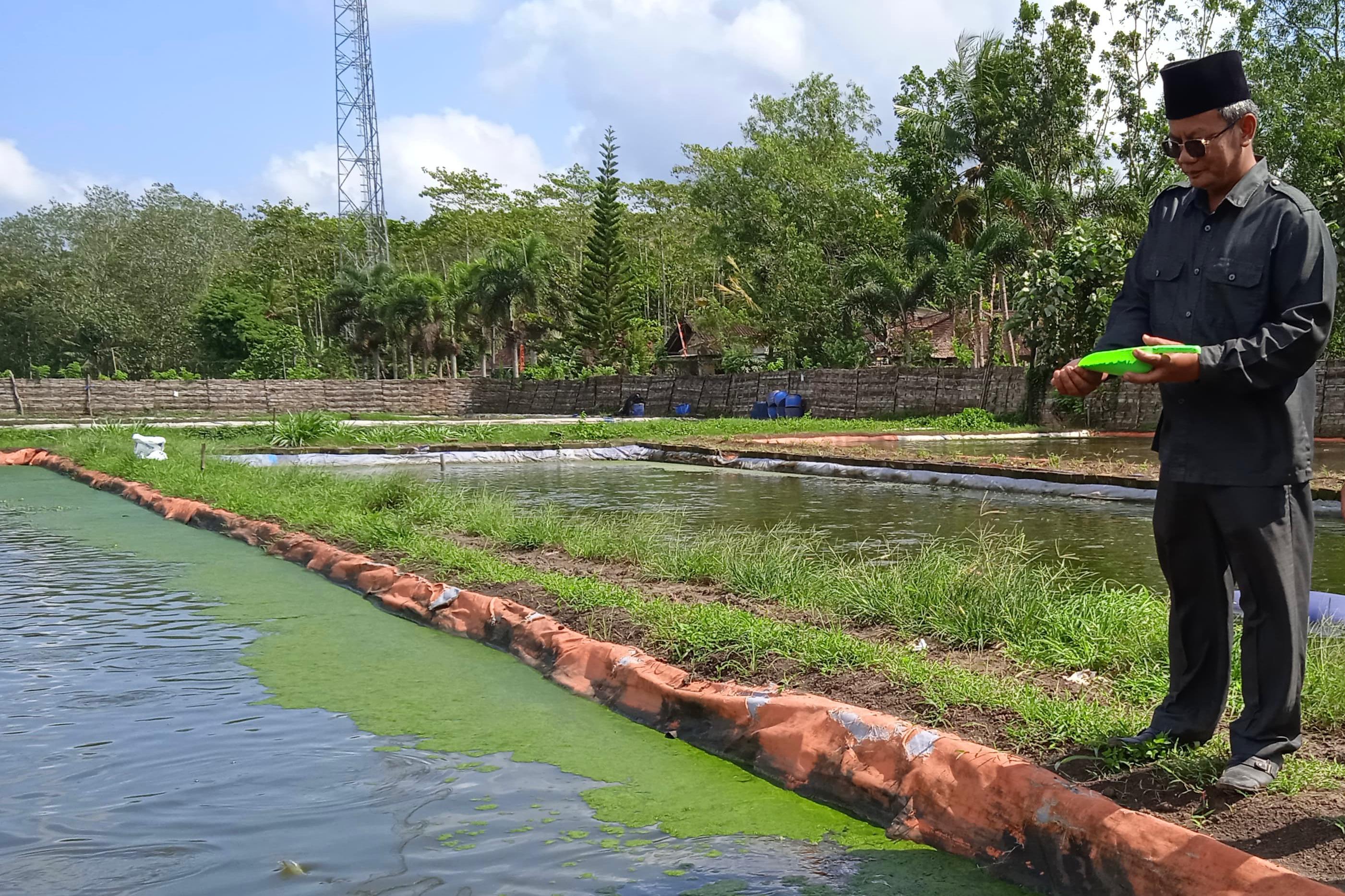 Salah satu sentra budidaya patin di Desa Sukowetan, Kecamatan Karangan. (DOK RADAR TRENGGALEK)