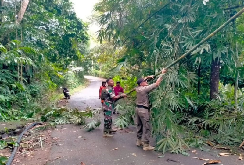 TRC PB Watulimo merampingkan bambu di tepi jalan