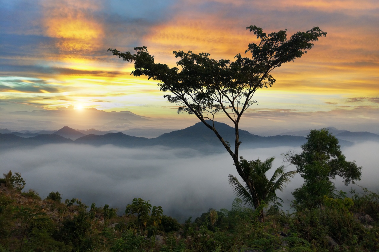 Bukit Banyon, bukan cuma sejuk tapi juga penuh spot instagramable.