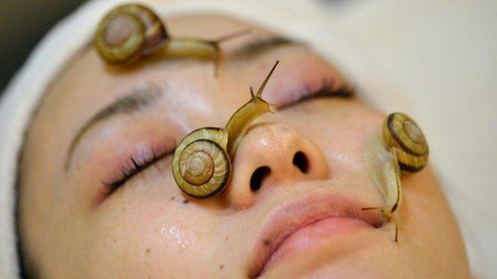 Manfaat lendir siput untuk perawatan muka