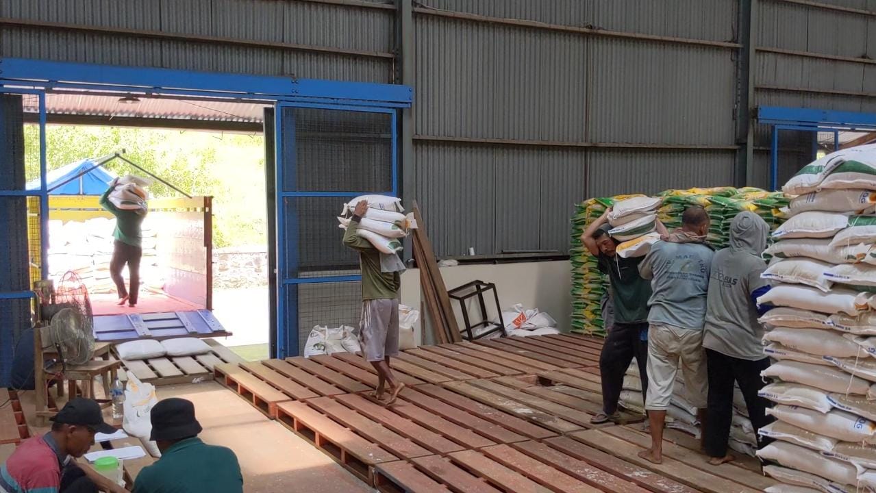 Gabah petani Trenggalek di gudang Bulog.