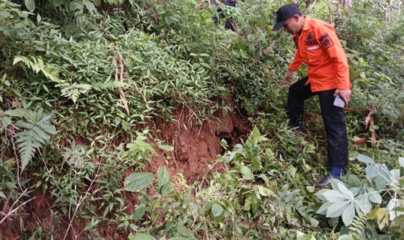 Petugas BPBD Trenggalek meninjau lokasi tanah gerak di Kecamatan Pule