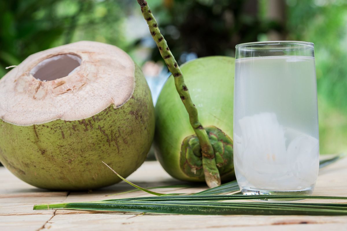 Air kelapa bagus buat diet asal tau cara dan panduannya