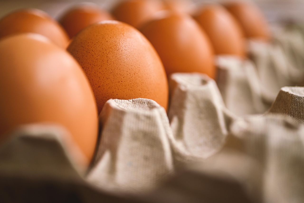 Harga telur ayam ras di Trenggalek sedikit menurun dibanding sebelumnya. (ERIKA VARGA/PIXABAY)