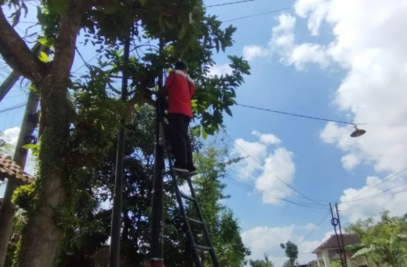 Petugas provider merapikan kabel telekomunikasi yang dikeluhkan warga setelah berdiskusi dengan Petugas Satpol PPK Trenggalek