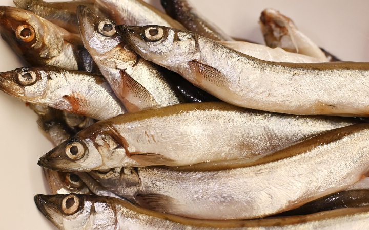 Ikan segar yang disimpan dengan cara tepat akan tetap awet dan tidak cepat busuk meski disimpan beberapa hari.