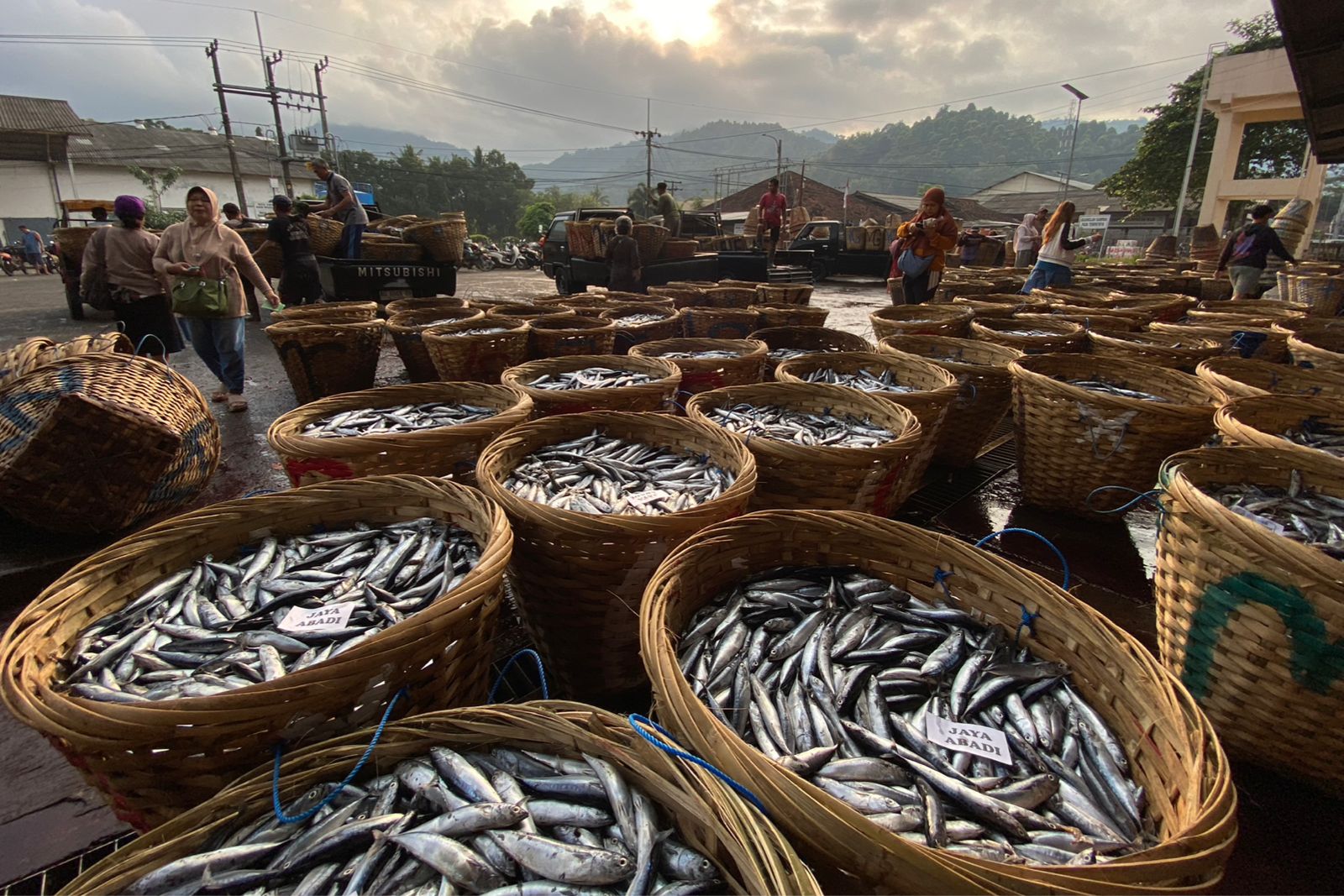 Perputaran uang saat musim ikan di kawasan Teluk Prigi bisa mencapai Rp 8 miliar per hari. (DR PERDANA/RADAR TRENGGALEK)