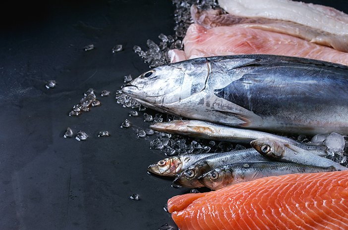 Ikan tuna merupakan ikan laut yang memiliki nilai protein tinggi