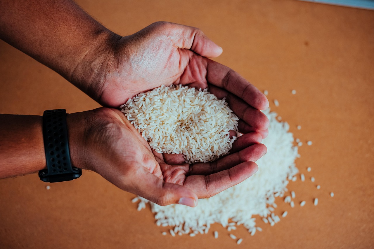 Dua jenis beras di Trenggalek mengalami perubahan harga hari ini. (MOHD SYAHIDEEN OSMAN/PIXABAY)