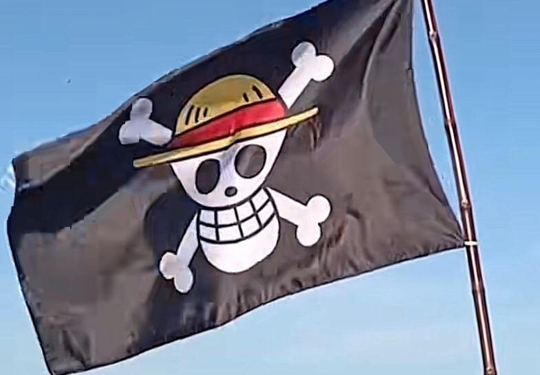 Bendera One Piece berkibar tinggi di bendera  menjelang HUT RI ke-80 yang mengundang polemik warganet.