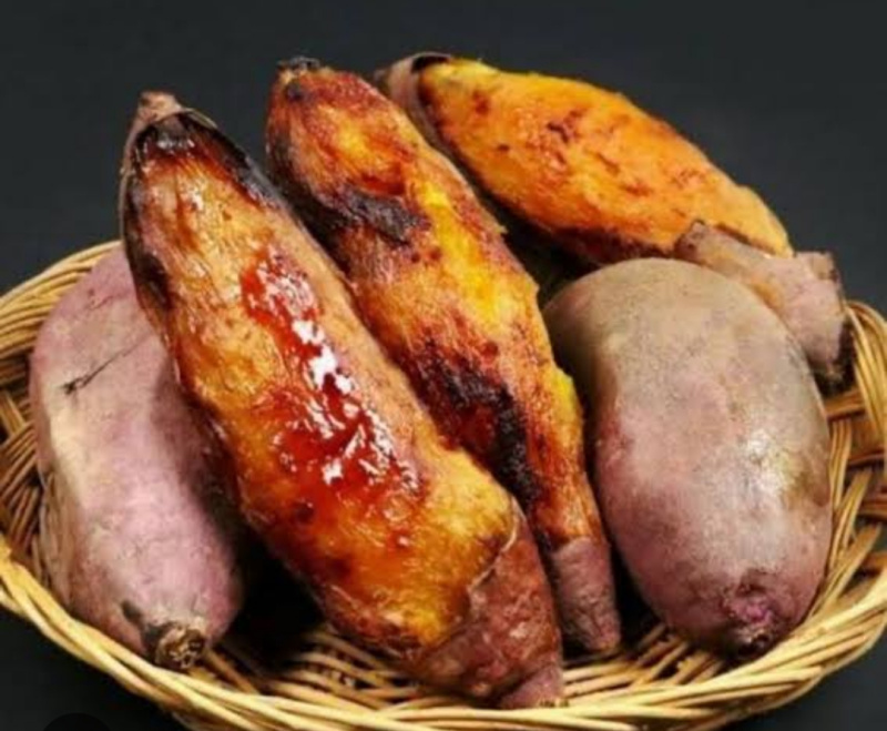 Ubi cilembu yang miliki beragama manfaat