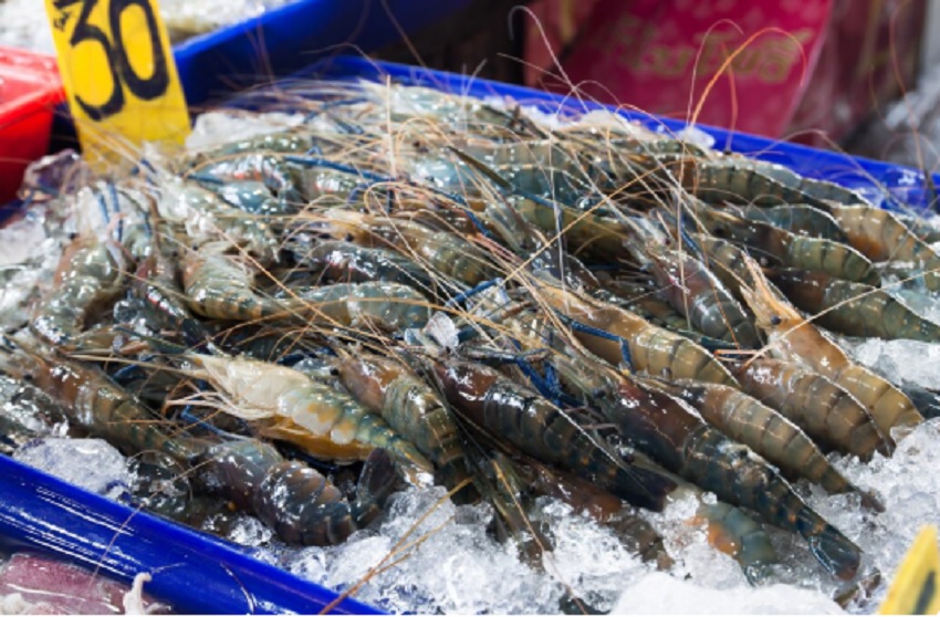 Kasus udang radioaktif adalah cerita tentang sains, politik, dan rasa cemas masyarakat.