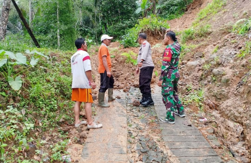 TRC mengecek kondisi tanah longsor yang ada di Desa Dukuh, Kecamatan Watulimo