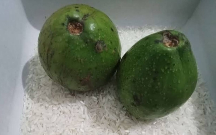 Warga Trenggalek pasti sudah akrab dengan alpukat, buah yang sering dijadikan jus, campuran es, hingga pelengkap aneka kudapan.