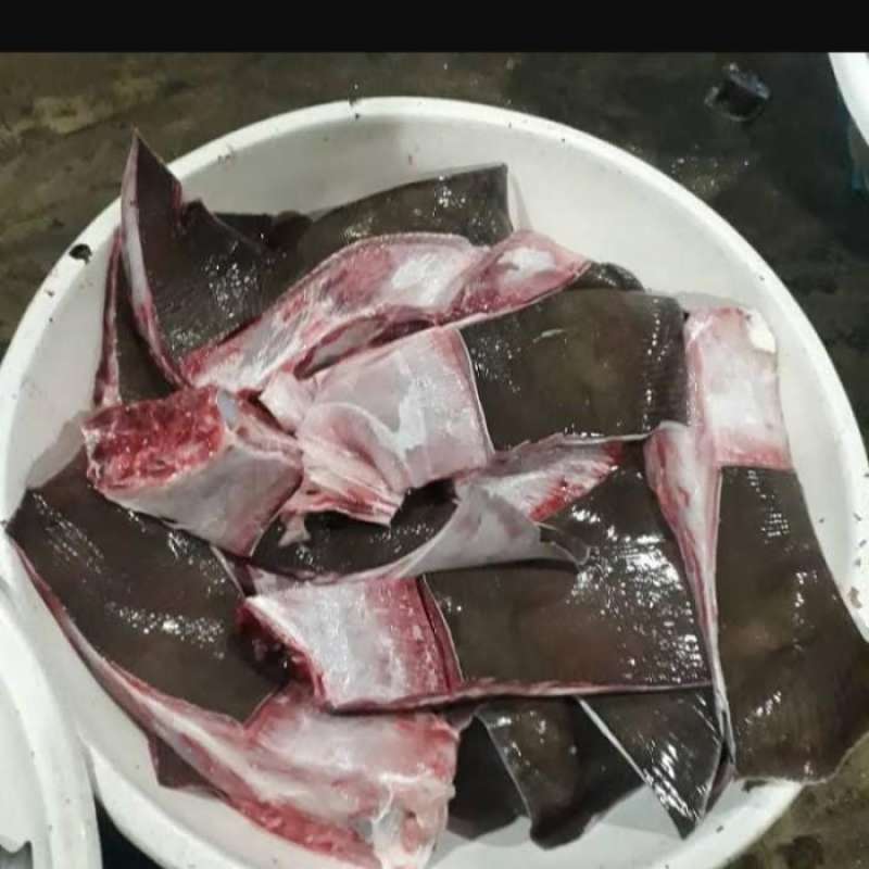 Manfaat yang jarang diketahui konsumsi ikan pari ini penjelasannya