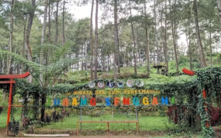 Tulungagung tidak hanya terkenal dengan marmer dan pantainya, tetapi juga memiliki destinasi alam yang memikat.