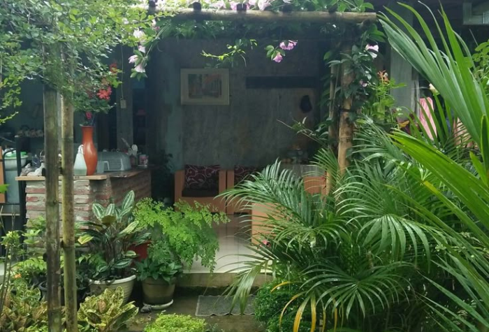Menanam pohon di rumah tidak hanya memperindah halaman, tetapi juga menyehatkan udara dan lingkungan sekitar. ( Pinterest)