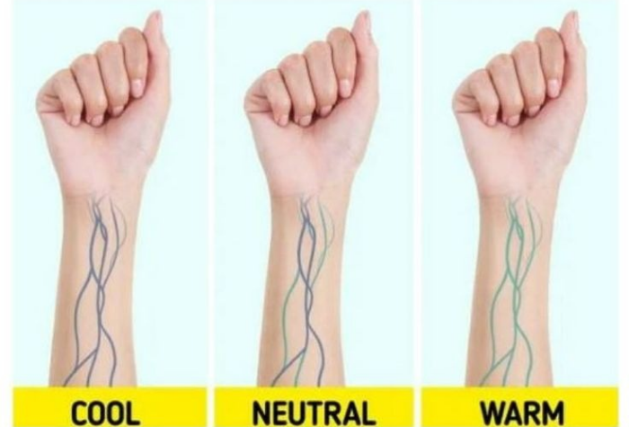 Undertone kulit adalah rona dasar alami yang memengaruhi pemilihan warna pakaian, make up, dan aksesori.