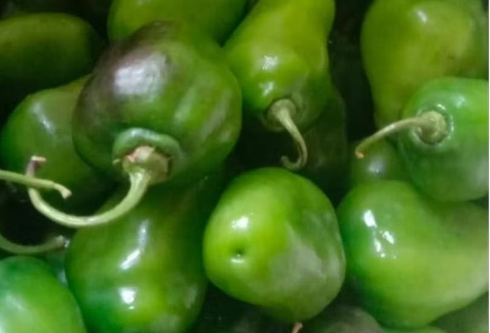 Pedasnya cabe gendot bikin penasaran! Simak manfaat, harga, dan resep olahan populer dari Dieng.