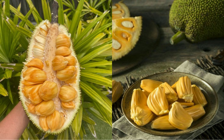 Sekilas mirip, tetapi cempedak dan nangka memiliki perbedaan yang cukup jelas.