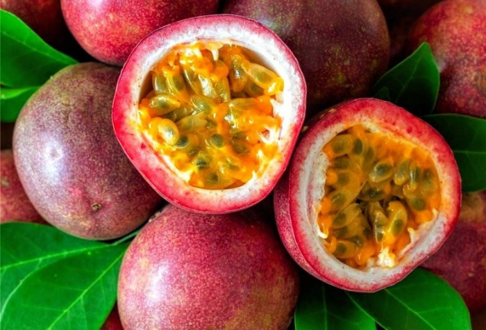 Buah markisa bermanfaat untuk kesehatan dan kecantikan. Simak cara budidaya, tips memilih, dan resep olahan markisa segar.
