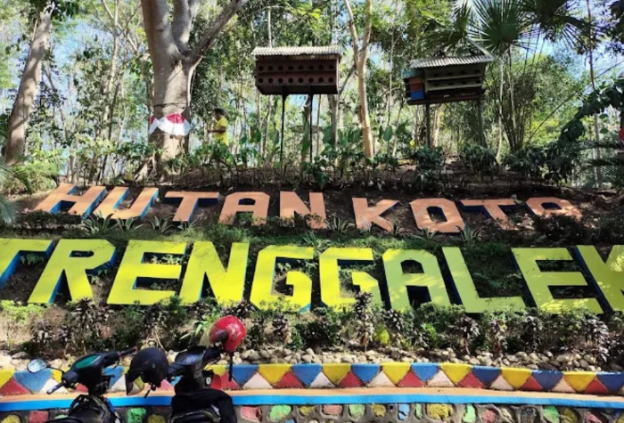 Kabupaten Trenggalek tidak hanya dikenal dengan pantai dan pegunungan, tetapi juga memiliki destinasi unik berupa Hutan Kota Trenggalek.