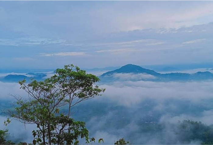 Nikmati panorama Bukit Banyon Trenggalek dengan matahari terbit, kabut, dan kuliner khas.