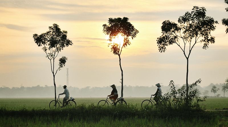 Pedesaan Trenggalek menawarkan suasana harmonis dengan alam asri, kearifan lokal, dan kehidupan masyarakat yang penuh kebersamaan.