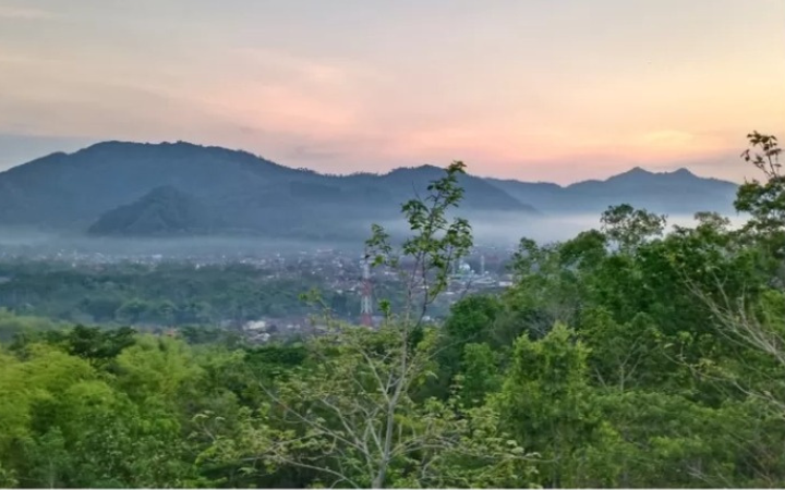 Salah satu destinasi di Trenggalek yang bisa menjadi pilihan adalah Hutan Kota Gunung Jaas.