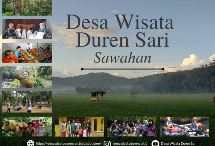 Jelajahi Desa Wisata Duren Sari Sawahan di Trenggalek, surga durian terbesar di Asia Tenggara. Nikmati paket wisata alam, budaya, kuliner, serta aktivitas ramah anak. ( Desa Wisata Duren Sari Sawahan)
