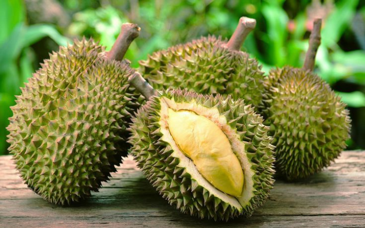 Durian salah satu hasil pangan lokal Trenggalek tak hanya jadi konsumsi harian, tetapi juga kebanggaan warga karena kualitasnya terjaga.