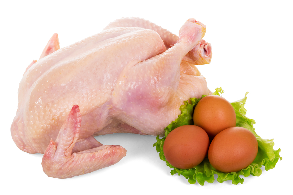 Perbedaan protein antara daging dan telur mana yang lebih baik ?