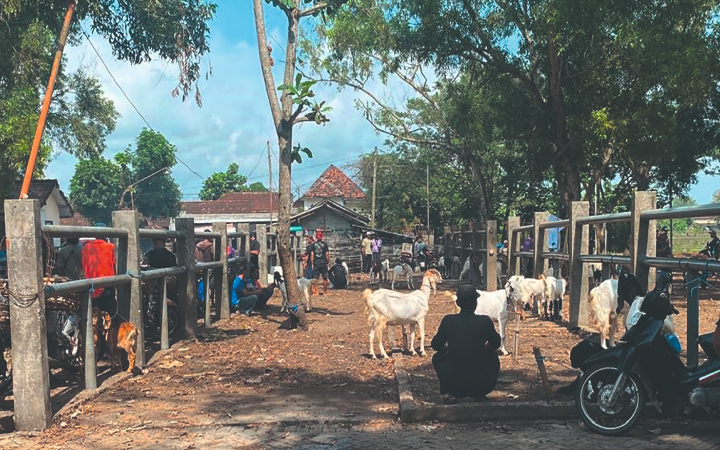 Kondisi pasar hewan di Durenan Trenggalek perlu mendapatkan perhatian. Lantaran masih banyak fasilitas untuk pengunjung maupun pedagang.