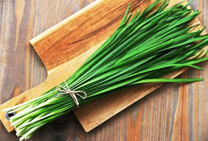 Kucai merupakan tanaman herbal yang tidak hanya bermanfaat untuk kesehatan, tetapi juga memiliki potensi ekonomi tinggi bagi masyarakat.