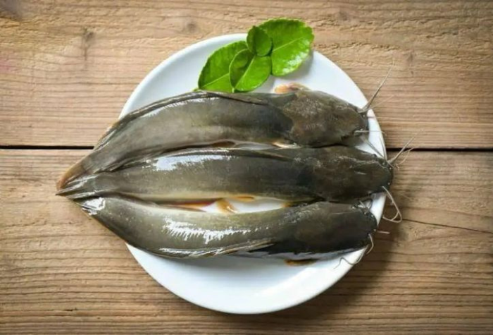 Lele tak melulu harus digoreng. Ada banyak olahan lezat dari ikan lele yang bisa menambah selera makan dan mudah dibuat di rumah.