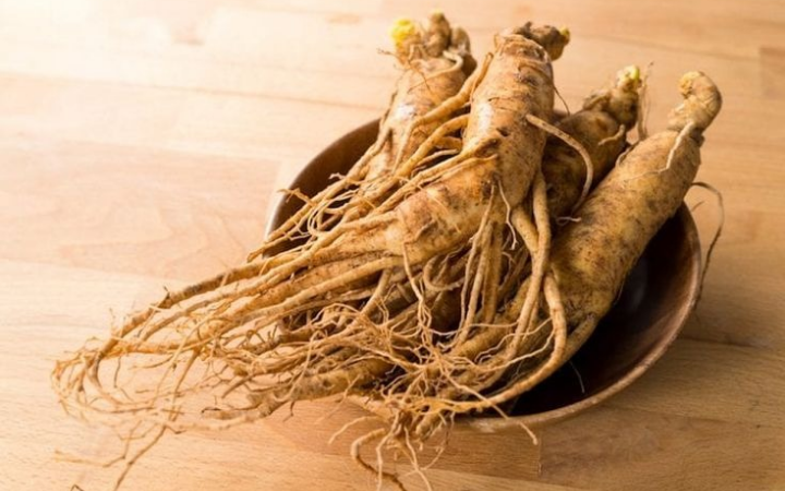 Potongan akar ginseng dimangkuk kayu yang sudah siap untuk diolah.