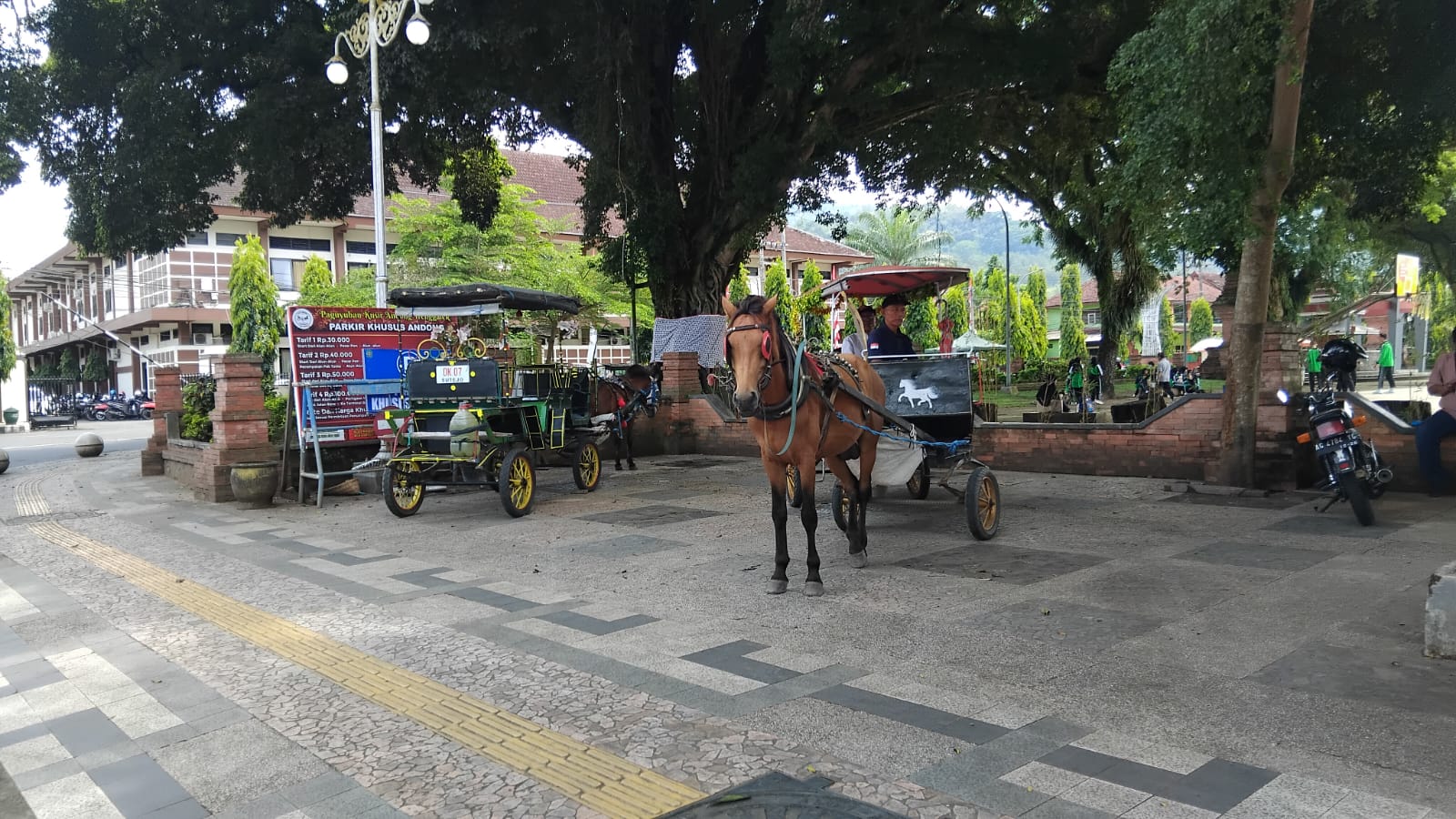 Dua dokar di Alun-Alun Trenggalek sedang menuggu penumpang untuk menggunakan jasanya.