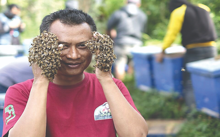 Asper Perhutani Trenggalek, Sunarwan, memanfaatkan lingkungan sekitar untuk pengembangan madu.